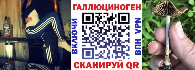 Галлюциногенные грибы GOLDEN TEACHER Коммунар