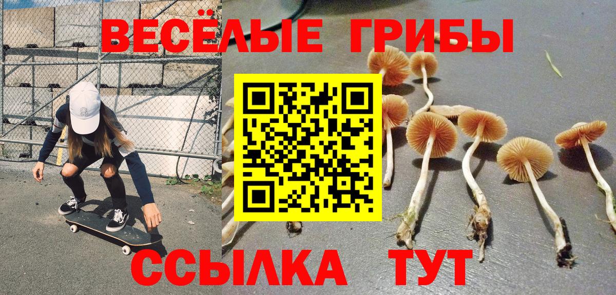 Псилоцибиновые грибы Cubensis  Вход с VPN  как найти закладки  Коммунар 